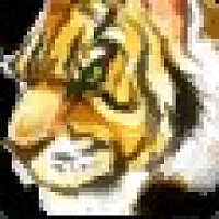 Досягнення Swift Zulian Tiger у грі World of Warcraft для Blizzard