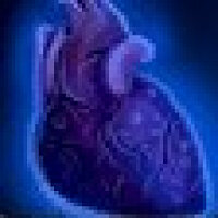 Досягнення Heroic: Dark Heart of Pandaria у грі World of Warcraft для Blizzard