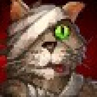 成就 No Time To Heal 在游戏 World of Warcraft 上,适用于 Blizzard