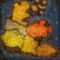 成就 Taming Outland 在游戏 World of Warcraft 上,适用于 Blizzard