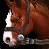 Досягнення The Reining Champion у грі World of Warcraft для Blizzard