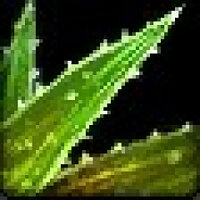 Досягнення Heed the Weed у грі World of Warcraft для Blizzard