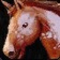 Pencapaian I Was Promised a Pony dalam permainan World of Warcraft untuk Blizzard