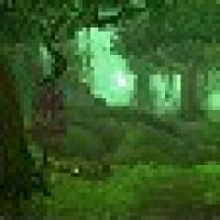 Досягнення Verdant Wilds у грі World of Warcraft для Blizzard