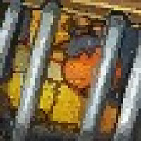 成就 Outland Safari 在游戏 World of Warcraft 上,适用于 Blizzard