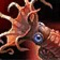 Досягнення Fire Ammonite Angler у грі World of Warcraft для Blizzard