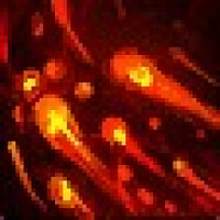 Досягнення Firestorms in The Waking Shores у грі World of Warcraft для Blizzard