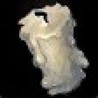 成就 Candle in the Wind 在游戏 World of Warcraft 上,适用于 Blizzard