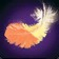 Досягнення Overstuffed у грі World of Warcraft для Blizzard
