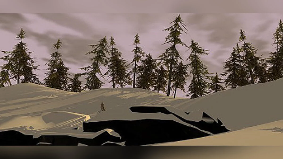 The Long Dark — Трейнер / Trainer (+10) [2.98] [MrAntiFun]