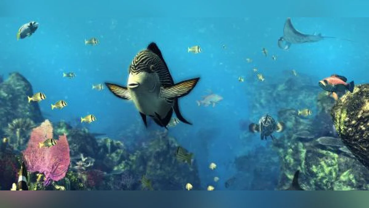 Depth Hunter 2: Deep Dive — Тренер / тренер (+5) [1.1: Пара] [ELDDS]