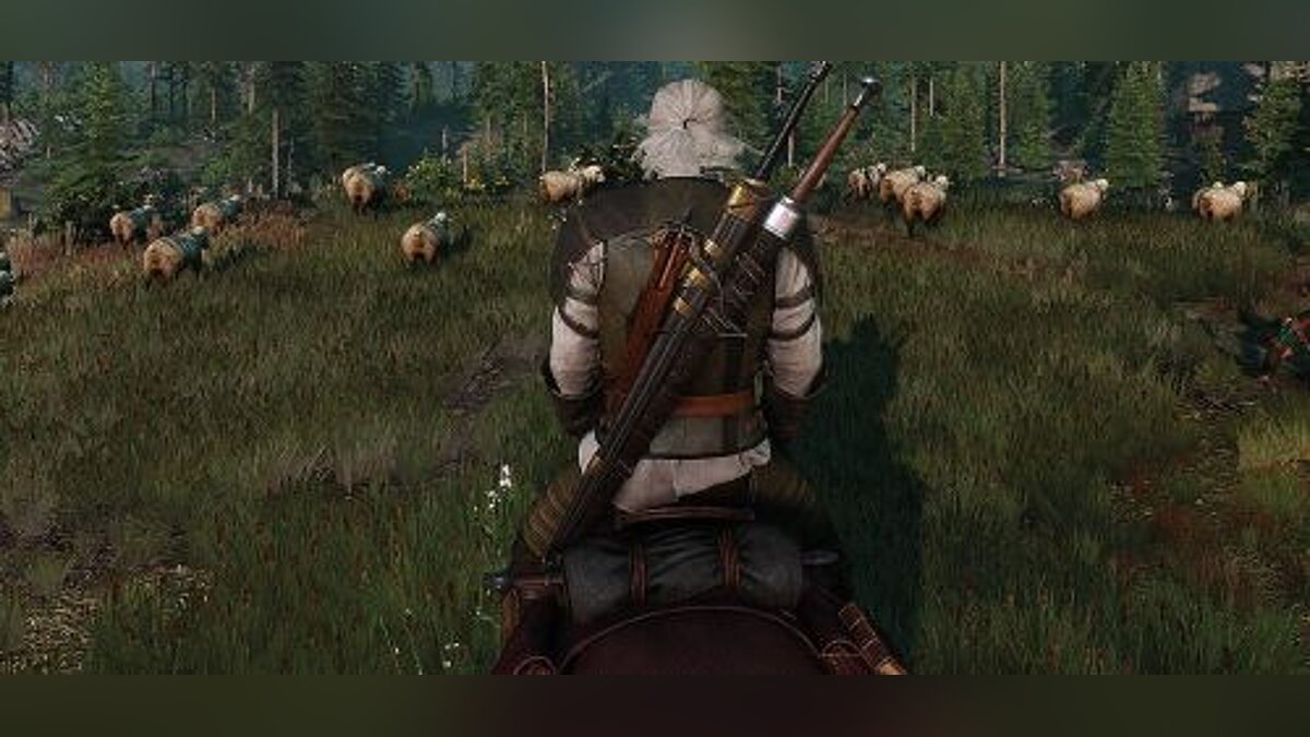 The Witcher 3: Wild Hunt — Trainer (+33) [1.08] [64 Bit] [Baracuda] - Updated!