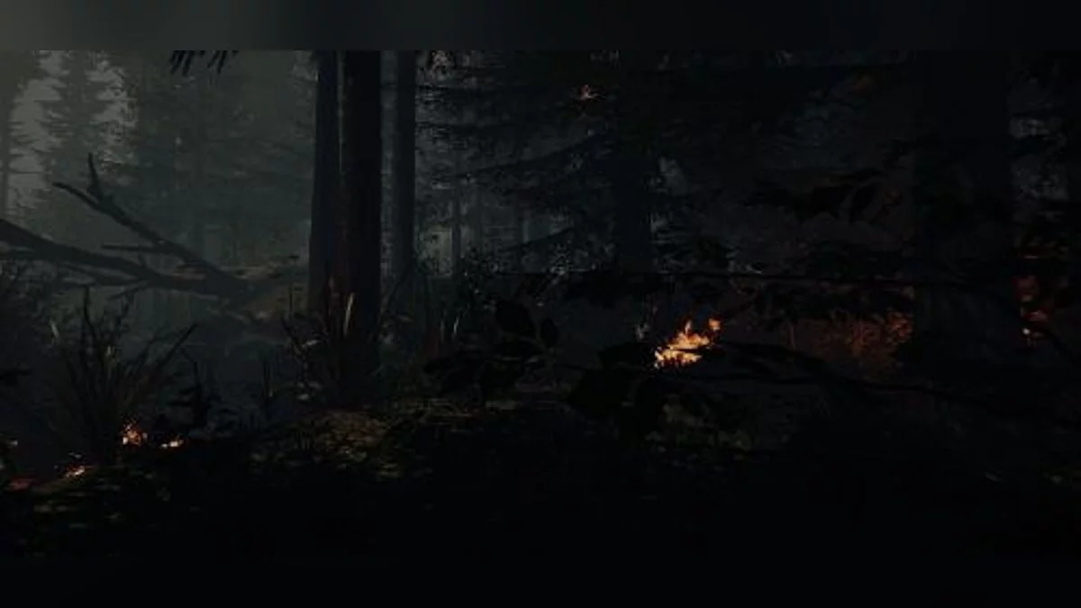 The Forest — Трейнер / Trainer (+9) [0.33b] [MrAntiFun]