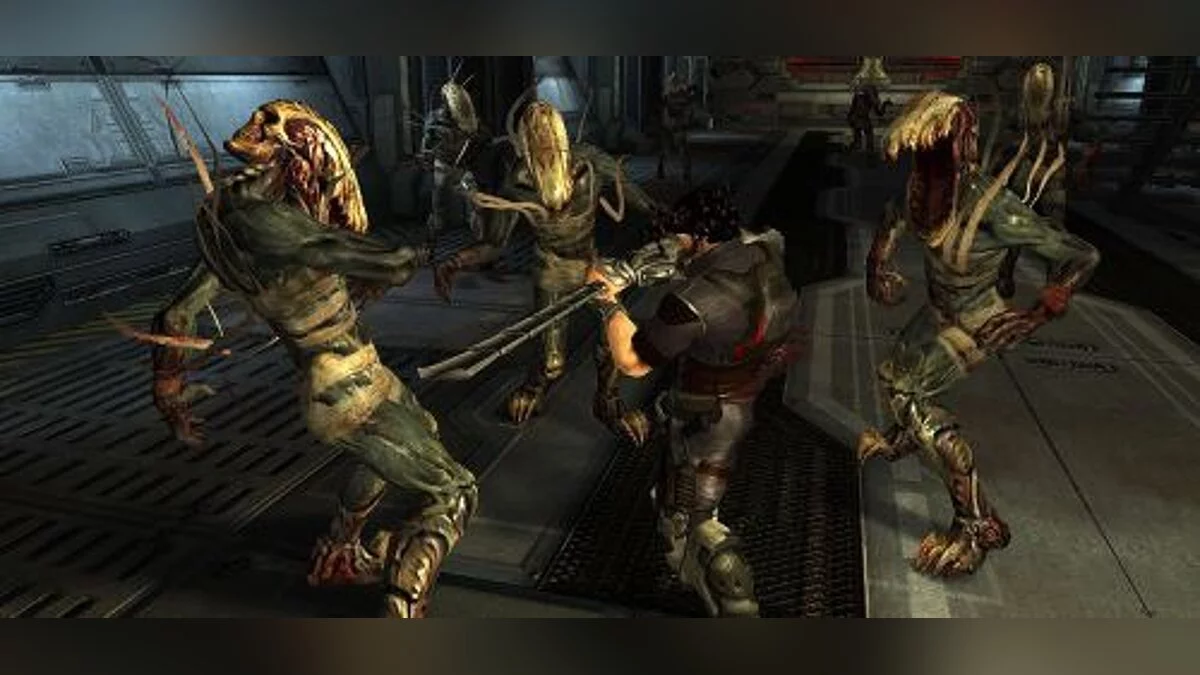 Collapse — Тренер / тренер (+5) [1.0: Пара] [ELDDS]