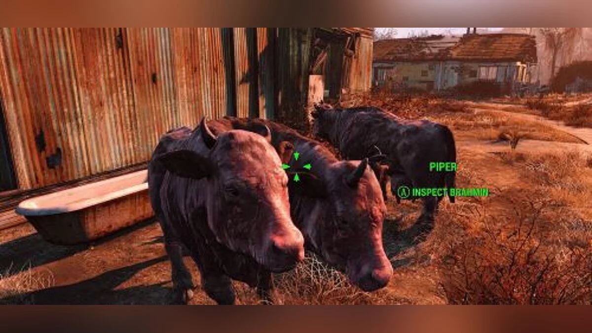 Fallout 4 — Entrenador / entrenador (+17) [1.5.205.0.1] [Mrantifun]