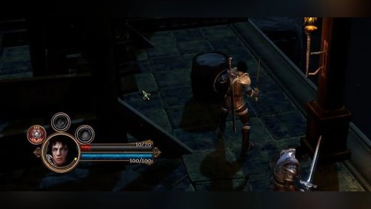 Dungeon Siege 3 — Тренер/Тренер (+3) [ОГЛЯД: 18.03.2017] [Mrantifun]