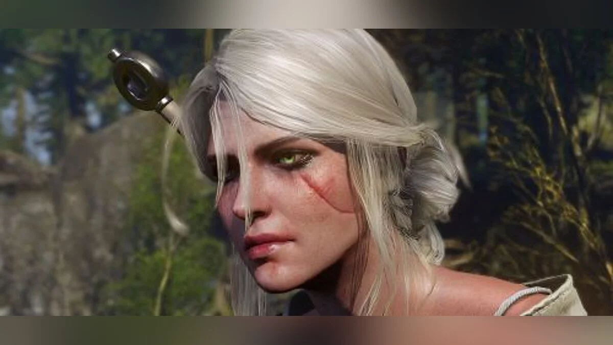 The Witcher 3: Wild Hunt — Preservación / SaveGame (3 conservaciones para elegir, 2 se transmiten en un buen final)