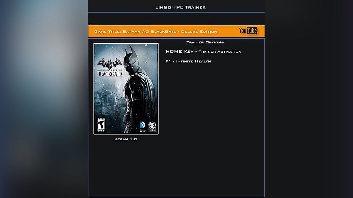 Batman: Arkham Origins — Trainer (+1: Immortality) [1.0] [LinGon]