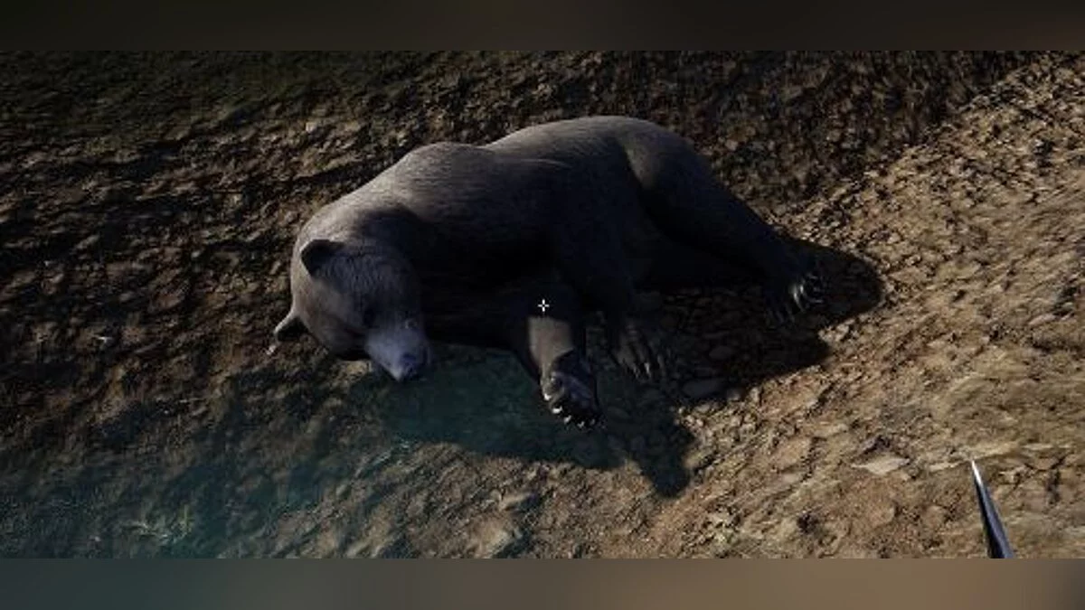 Hold Your Own — Тренер/тренер (+8) [udp: 14.01.2018] [mrantifun]