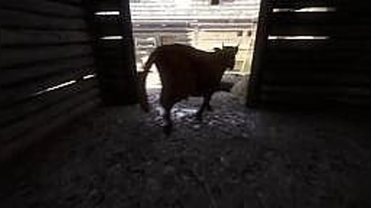 Kingdom Come: Deliverance — Трейнер / Trainer (+16) [1.2] [FLiNG]