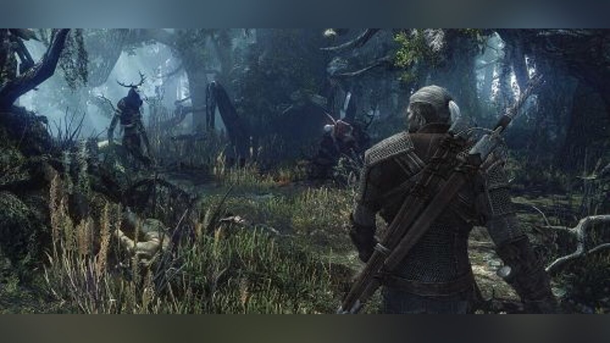 The Witcher 3: Wild Hunt — Save / SaveGame (The plot is completely completed, good ending, DLC is not touched)