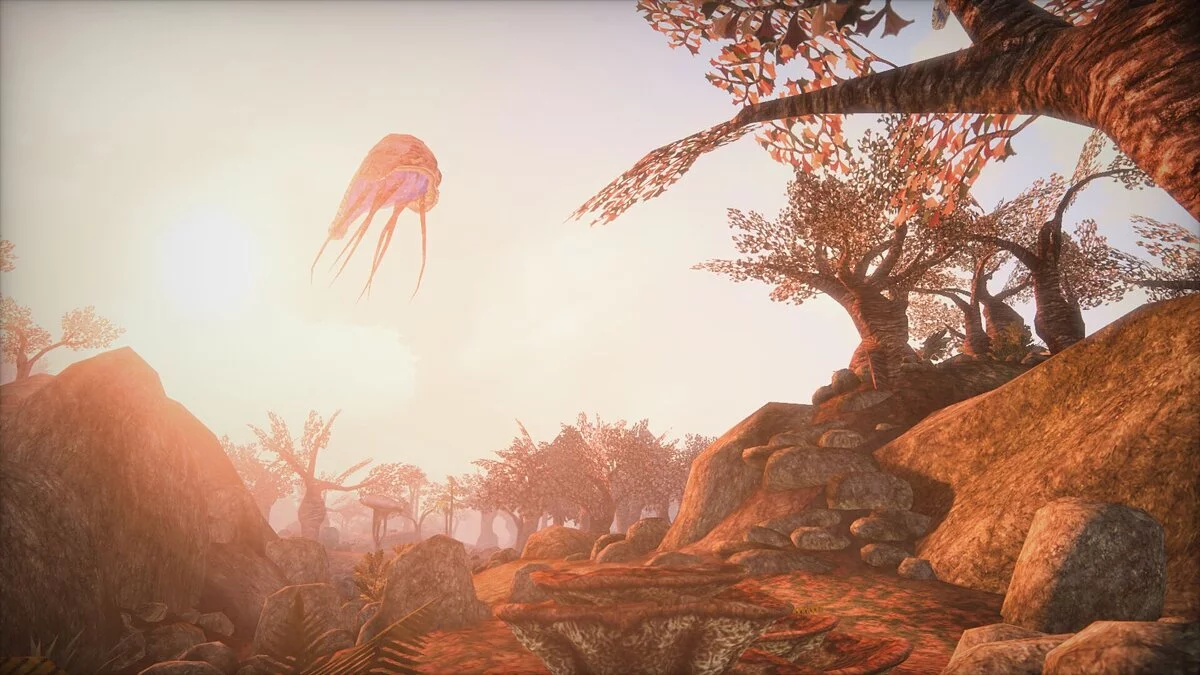 Elder Scrolls 3: Morrowind — Новые масштабные локации (Tamriel Rebuilt) [18.07]