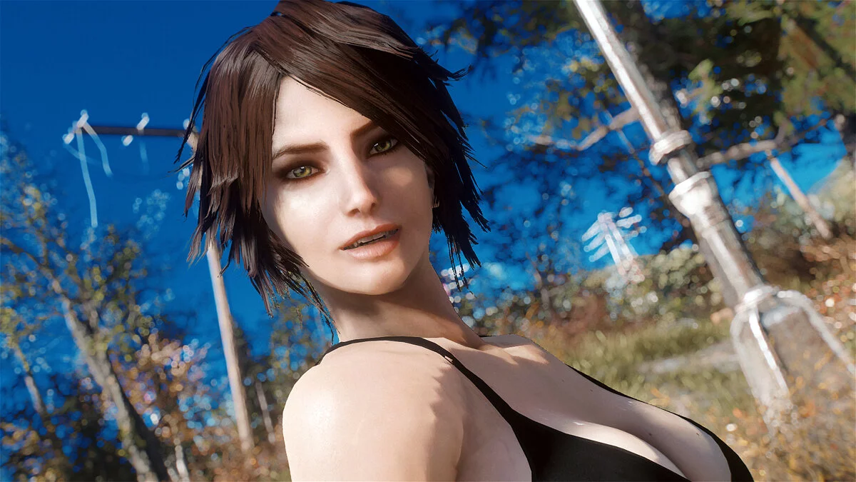 Fallout 4 — Сборник пресетов с персонажами из Overwatch, Resident Evil и других игр