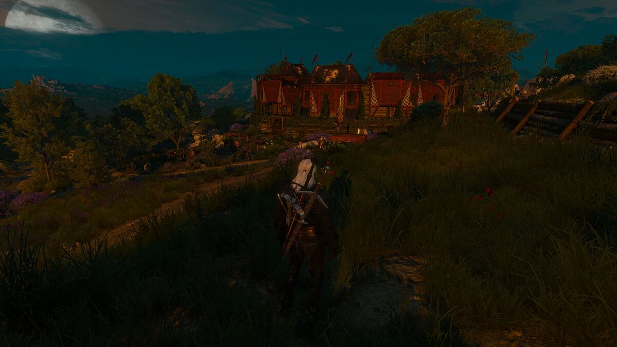 The Witcher 3: Wild Hunt — Increased Draw Distance for Toussaint [1.0]