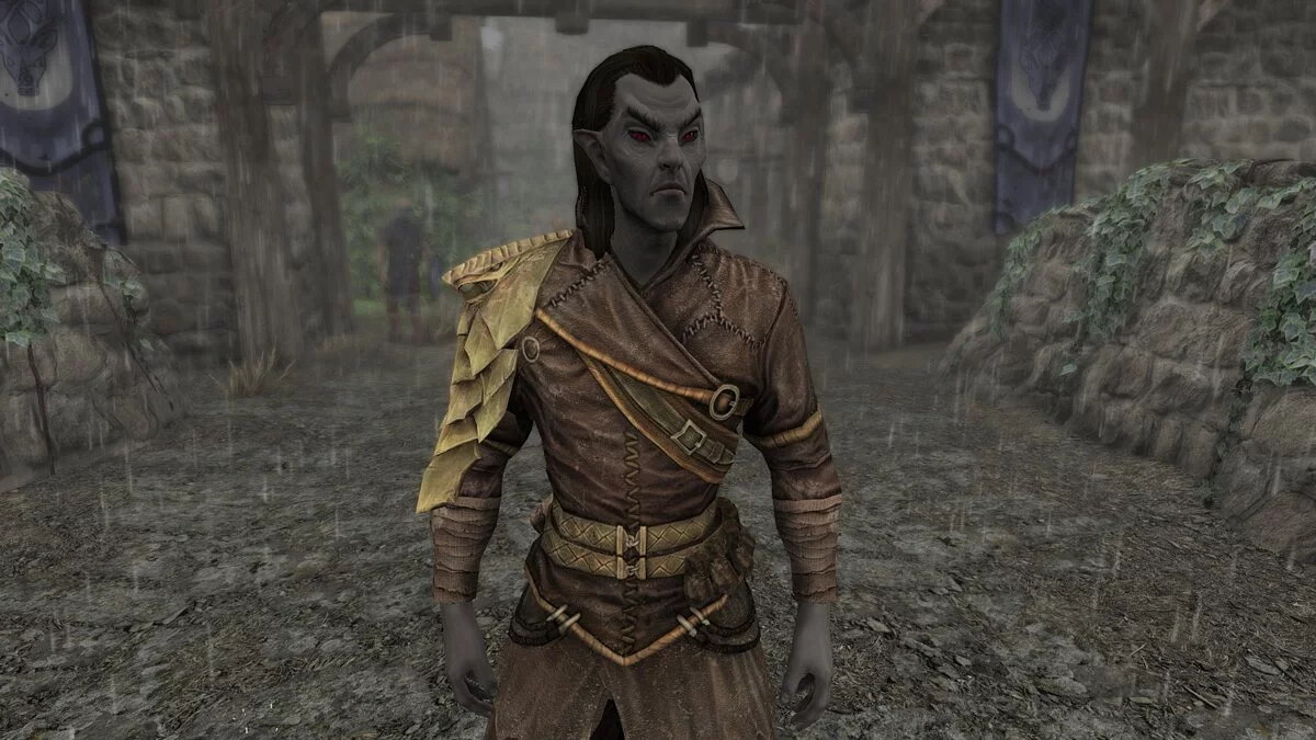 The Elder Scrolls 5: Skyrim — My Vanilla Race [1.0]