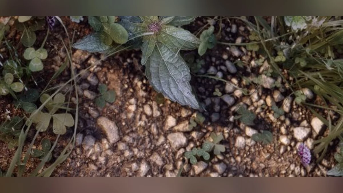 The Elder Scrolls 5: Skyrim — Величезні текстури сприйняття 2K та 4K (проект текстури спільноти Skyrim) [1.1]