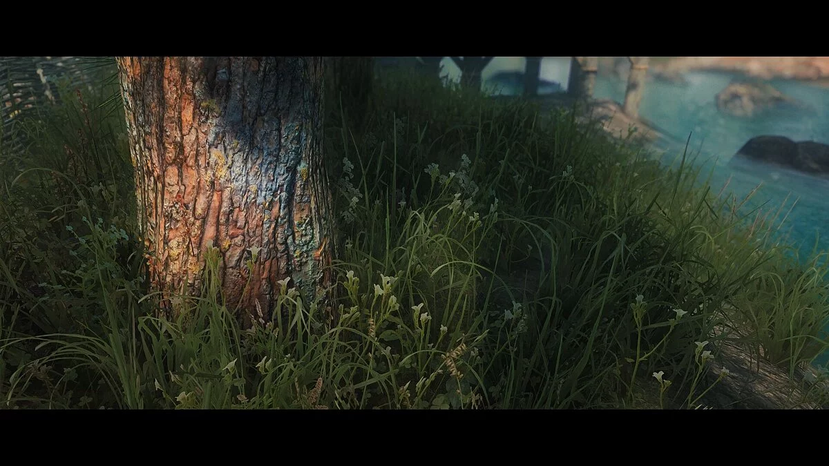 Elder Scrolls 5: Skyrim Special Edition — Veydosebrom – тонны травы и растительности