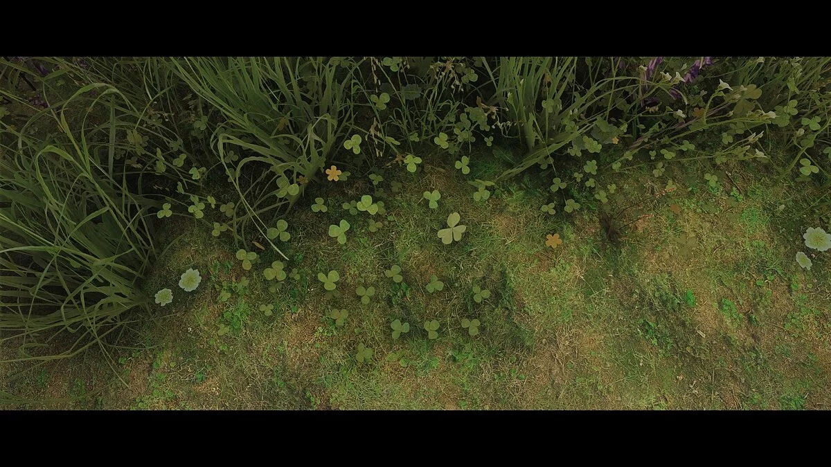 Elder Scrolls 5: Skyrim Special Edition — Veydosebrom – тонны травы и растительности