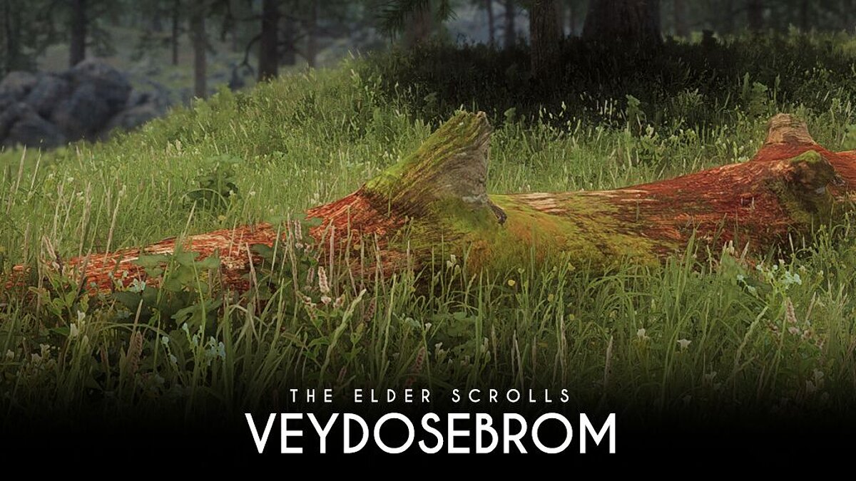 Elder Scrolls 5: Skyrim Special Edition — Veydosebrom – tons of grass and vegetation