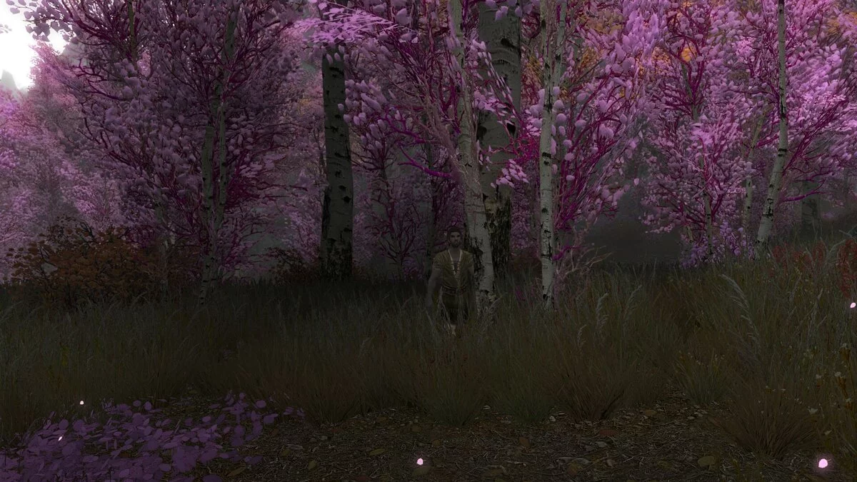 The Elder Scrolls 5: Skyrim — Pink trees in Riften