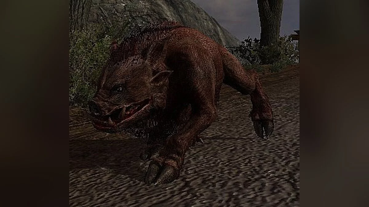 S.T.A.L.K.E.R.: Call of Pripyat — Новые кабаны 