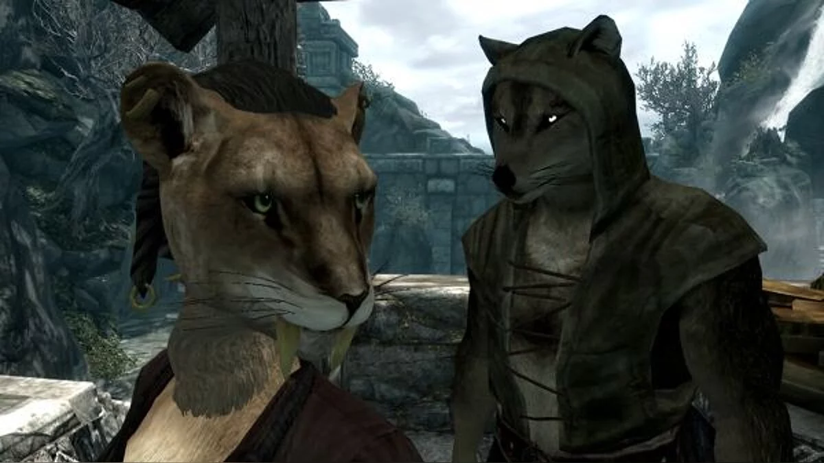 The Elder Scrolls 5: Skyrim — Fury Skyrim –