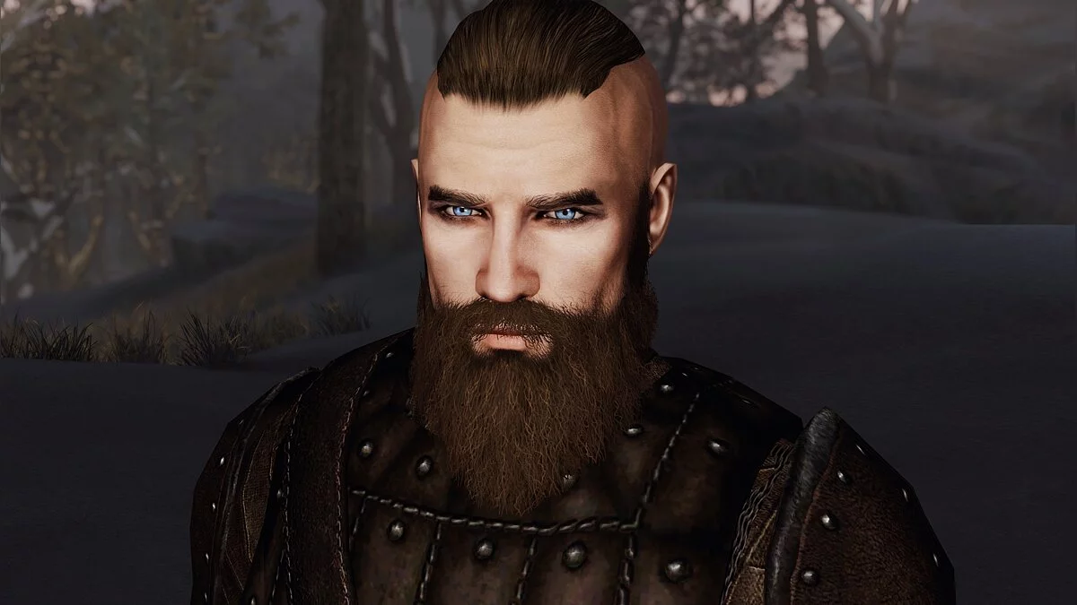 Elder Scrolls 5: Skyrim Special Edition — Пресет Рагнара Лодброка из «Викингов» 