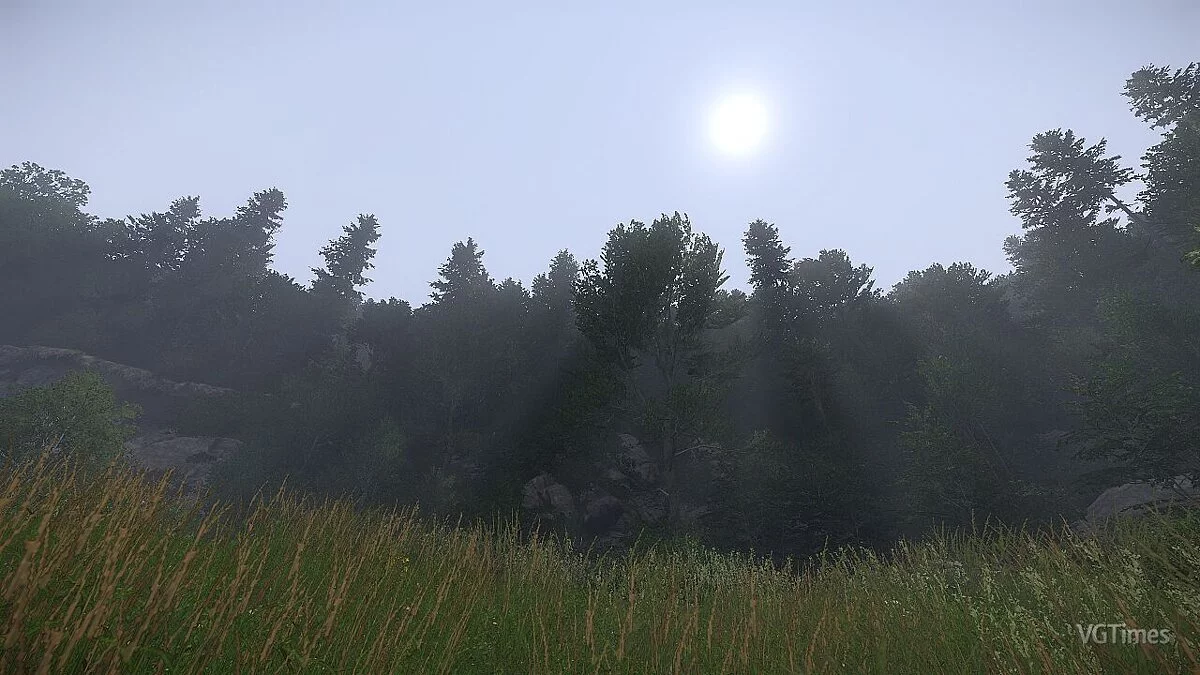 Kingdom Come: Deliverance — Niebla volumétrica