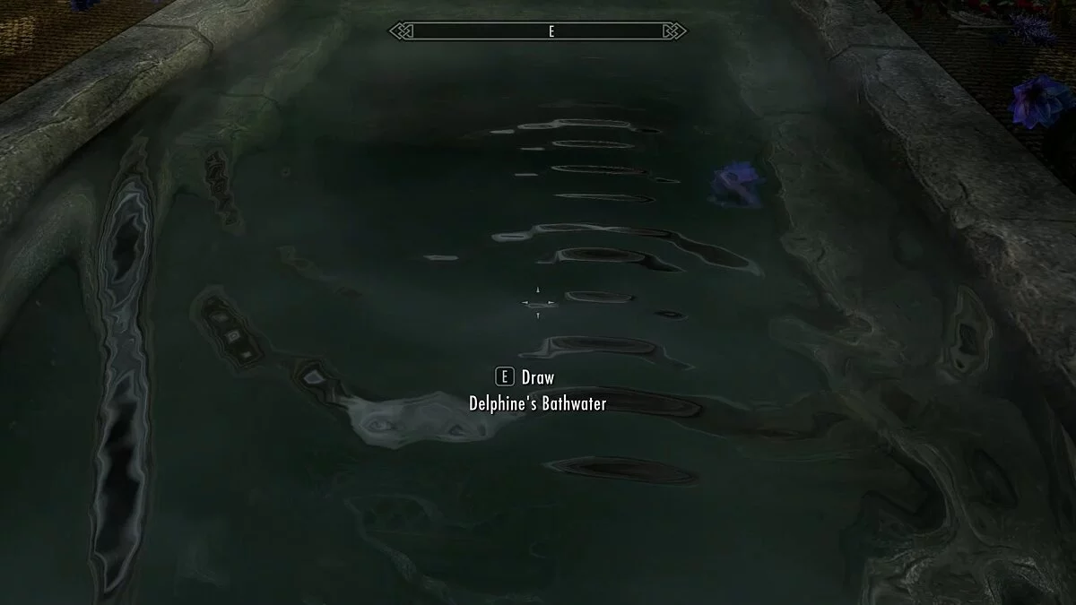 The Elder Scrolls 5: Skyrim — Вода из ванной Delphine