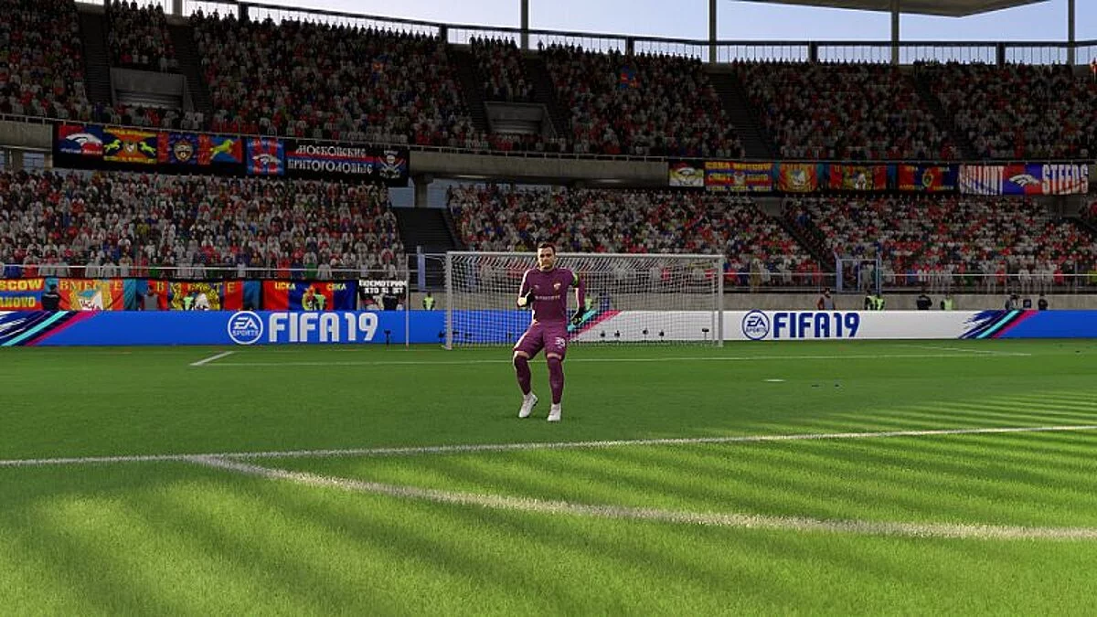 FIFA 19 — Баннеры и флаги для Российских и Украинских команд