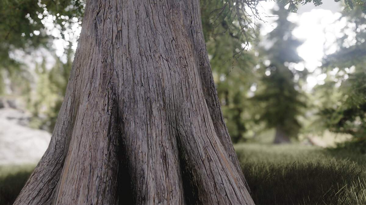 Elder Scrolls 5: Skyrim Special Edition — 2K tree textures