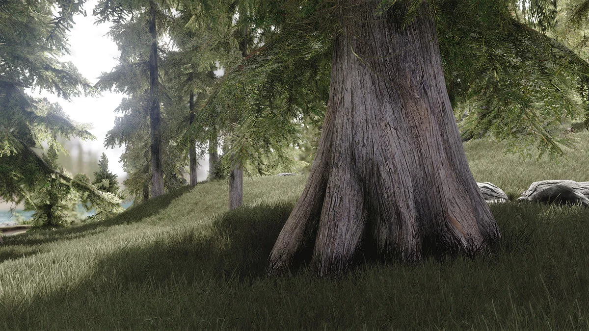 Elder Scrolls 5: Skyrim Special Edition — 2К текстуры деревьев