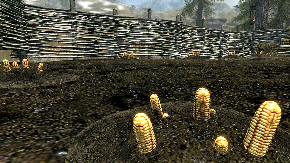 Elder Scrolls 5: Skyrim Special Edition — Corn gear