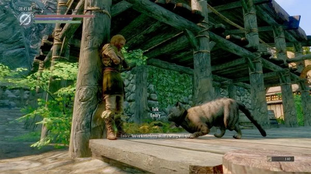 The Elder Scrolls 5: Skyrim — Возможность играть за кота