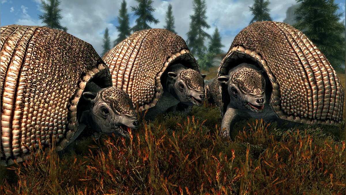 The Elder Scrolls 5: Skyrim Legendary Edition — Sloths and Armadillos