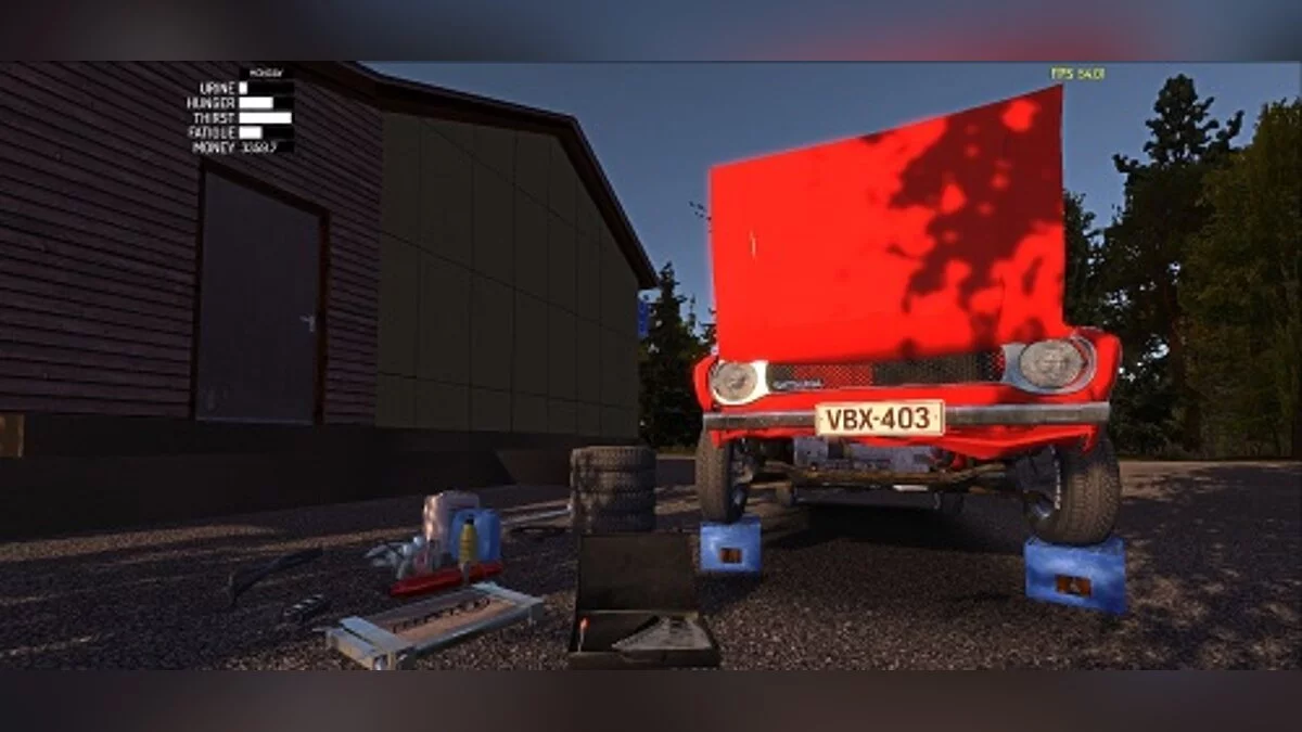 My Summer Car — Guardar (50.000 puntos, piel del autor)