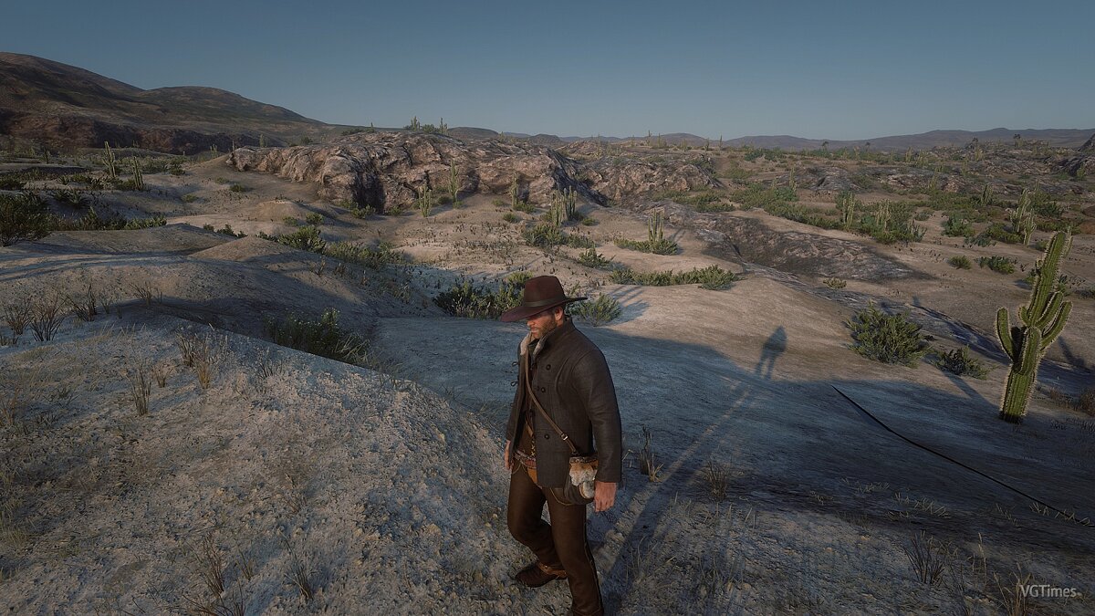 Red Dead Redemption 2 — Vignette reduction