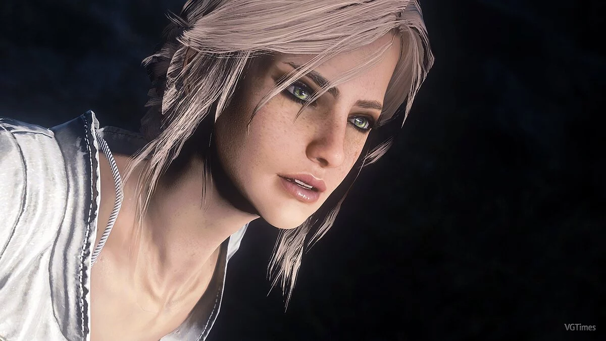 Fallout 4 — Сборка пресетов популярных женских персонажей