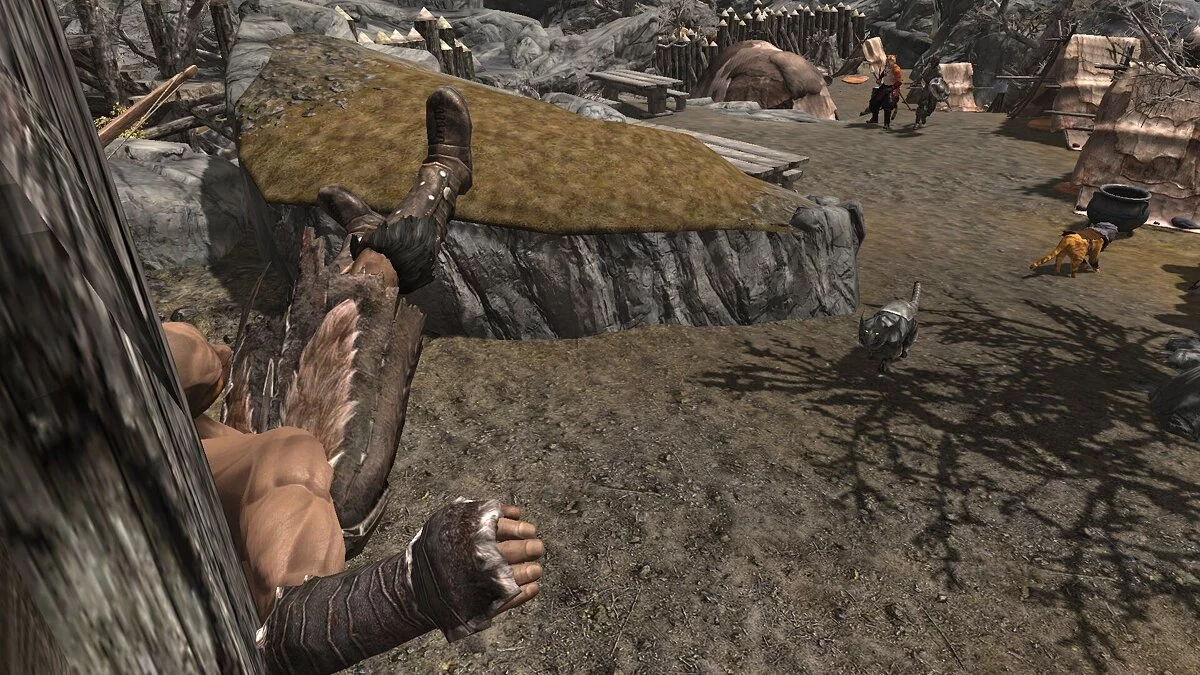 The Elder Scrolls 5: Skyrim — Существа Нирна - Каджит Альфик