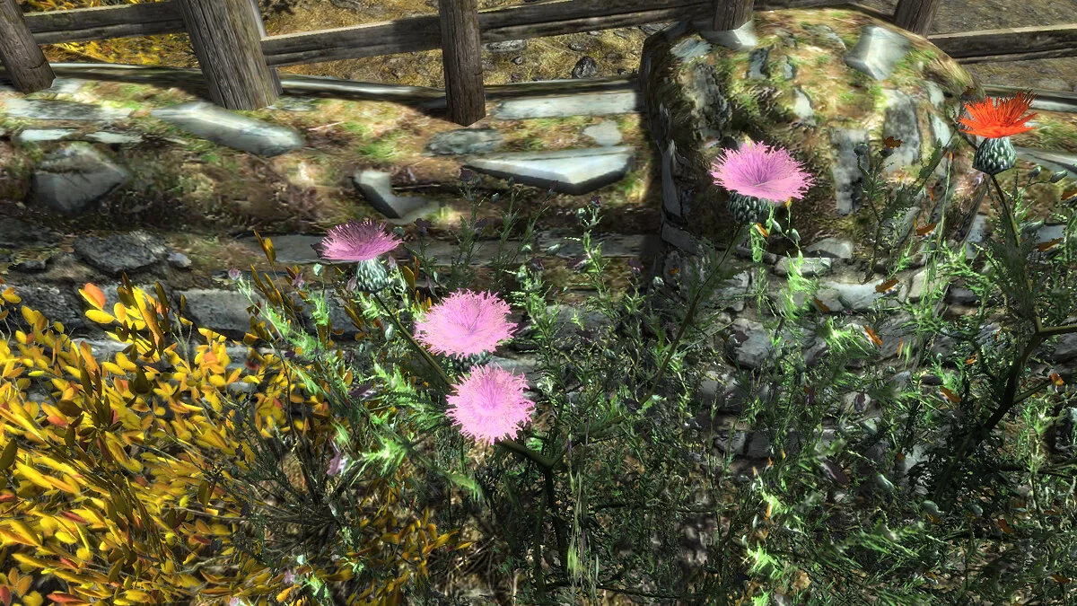 Elder Scrolls 5: Skyrim Special Edition — New flowers